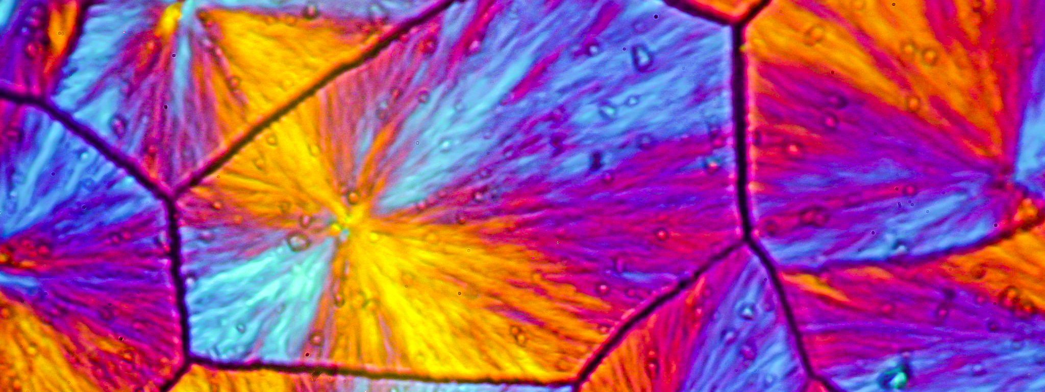 Polyethylene crystellites viewed using polarised light microscopy